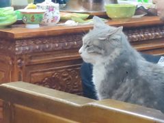 -嘎咓讓咘藏餐厅(团结新村店)