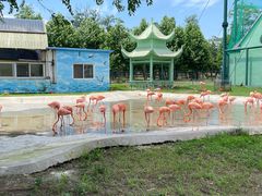 -秦皇岛野生动物园