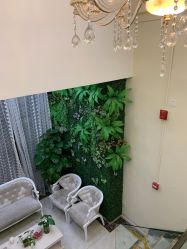 -苗医生草本科技祛痘