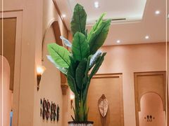 -海南椰子鸡餐厅(三亚湾红树林店)