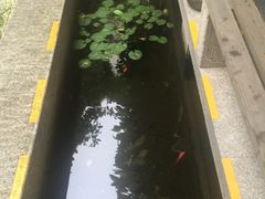 -全季酒店（苏州观前街平江路店）(原临顿路地铁站店)