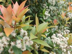 -南国桃园旅游度假区