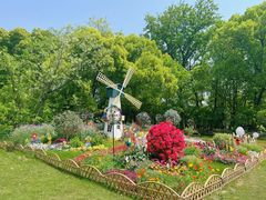 -上海共青森林公园