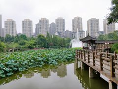 -龙头寺公园