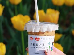 -无锡梅园公园