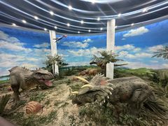 -吉林省自然博物馆