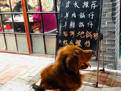 -做了不起的80后