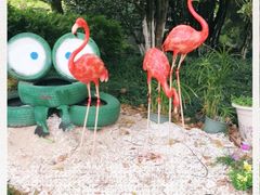 -杭州少年儿童公园