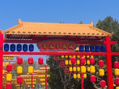 -青龙湖公园