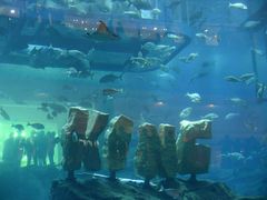 android_upload_pic-迪拜水族馆及水下动物园