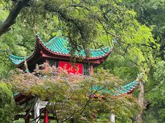 -岳麓山风景名胜区