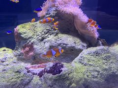 -太平洋海底世界