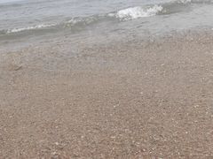 -日照海滨国家森林公园