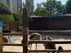 -福州罗源湾海洋世界旅游区