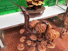 -兰陵国家农业公园