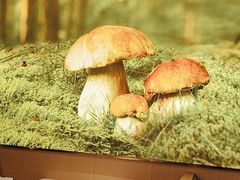 -椒王火锅(厚街万达店)