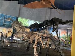 -湖南省地质博物馆