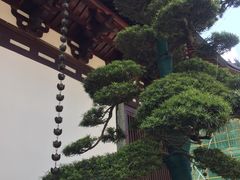 -径山寺