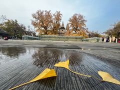 -北京石刻艺术博物馆(五塔寺)