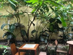 -懒鱼时光馆(沙坪坝店)
