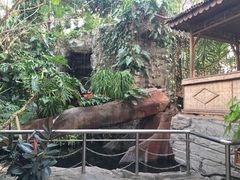 -北京植物园-展览温室