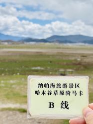 -纳帕海依拉草原