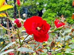 -文华公园(禅城区)