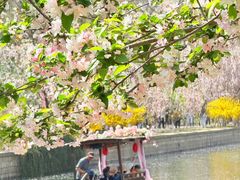-元大都城垣遗址公园