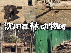 -沈阳森林动物园