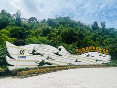 -西双版纳原始森林公园