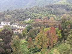 -塔川景区