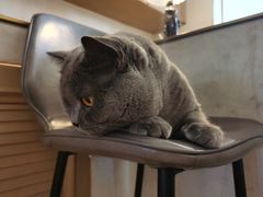 -Me Coffee下午茶艺术空间