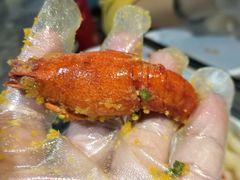 -龙巢盱眙龙虾·牛蛙·烧烤宵夜(八卦岭店)