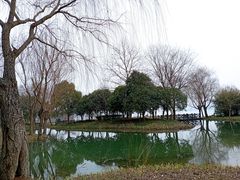 -渤公岛生态公园