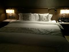 -济南绿地美利亚酒店