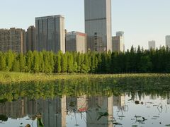 -艾溪湖湿地公园