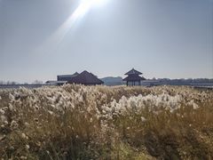 -青龙湖公园