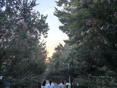 -武汉紫薇都市田园