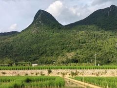 -万峰林风景区