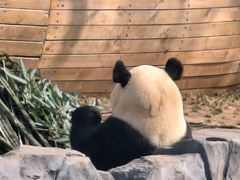 -秦皇岛野生动物园