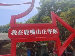 -杨梅坑