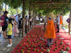 -前小桔亲子创意农场·草莓采摘·露营烧烤