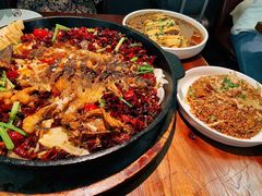 -老板恋上鱼(恒隆广场店)