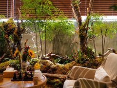 -森SPA·泰式按摩·精油Massage(宝安中心店)