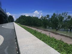 -宝安西湾红树林湿地公园