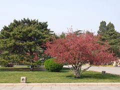 -北京友谊宾馆·俄罗斯餐厅