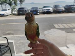 -麓舍全景太湖温泉别墅团建拓展会议亲子