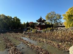 -莲池书院博物馆
