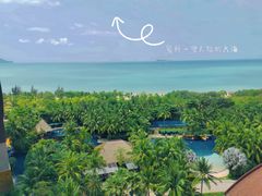 -三亚湾海居铂尔曼度假酒店