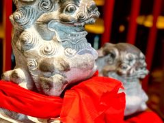 -川椒媚双椒烤鱼(鑫江东方城购物中心店)